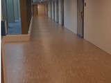 Podłogi drewniane na Uniwersytecie Medycznym - Wydział Farmacji w Poznaniu