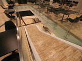 Podłogi drewniane na otwarciu Galerii Katowickiej. Zdjęcie nr: 42