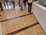 Podłogi drewniane na otwarciu Galerii Katowickiej. Zdjęcie nr: 101