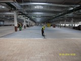 Podłogi drewniane w nowej hali firmy Hearing. Realizacja w Piotrkowie Trybunalskim. Zdjęcie nr: 53