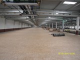 Podłogi drewniane w nowej hali firmy Hearing. Realizacja w Piotrkowie Trybunalskim. Zdjęcie nr: 46