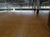 Podłogi drewniane w nowej hali firmy Hearing. Realizacja w Piotrkowie Trybunalskim. Zdjęcie nr: 25
