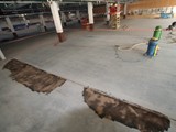Podłogi drewniane w nowej hali firmy Hearing. Realizacja w Piotrkowie Trybunalskim. Zdjęcie nr: 134