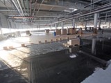 Podłogi drewniane w nowej hali firmy Hearing. Realizacja w Piotrkowie Trybunalskim. Zdjęcie nr: 121