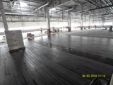 Podłogi drewniane w nowej hali firmy Hearing. Realizacja w Piotrkowie Trybunalskim. Zdjęcie nr: 101