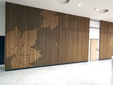 Ściany w drewnie. Realizacja w Focus Mall w Zielonej Górze. Zdjęcie nr: 17