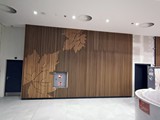 Ściany w drewnie. Realizacja w Focus Mall w Zielonej Górze. Zdjęcie nr: 7
