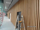 Ściany drewniane. Realizacja w Kauflandzie we Wrocławiu. Zdjęcie nr: 26